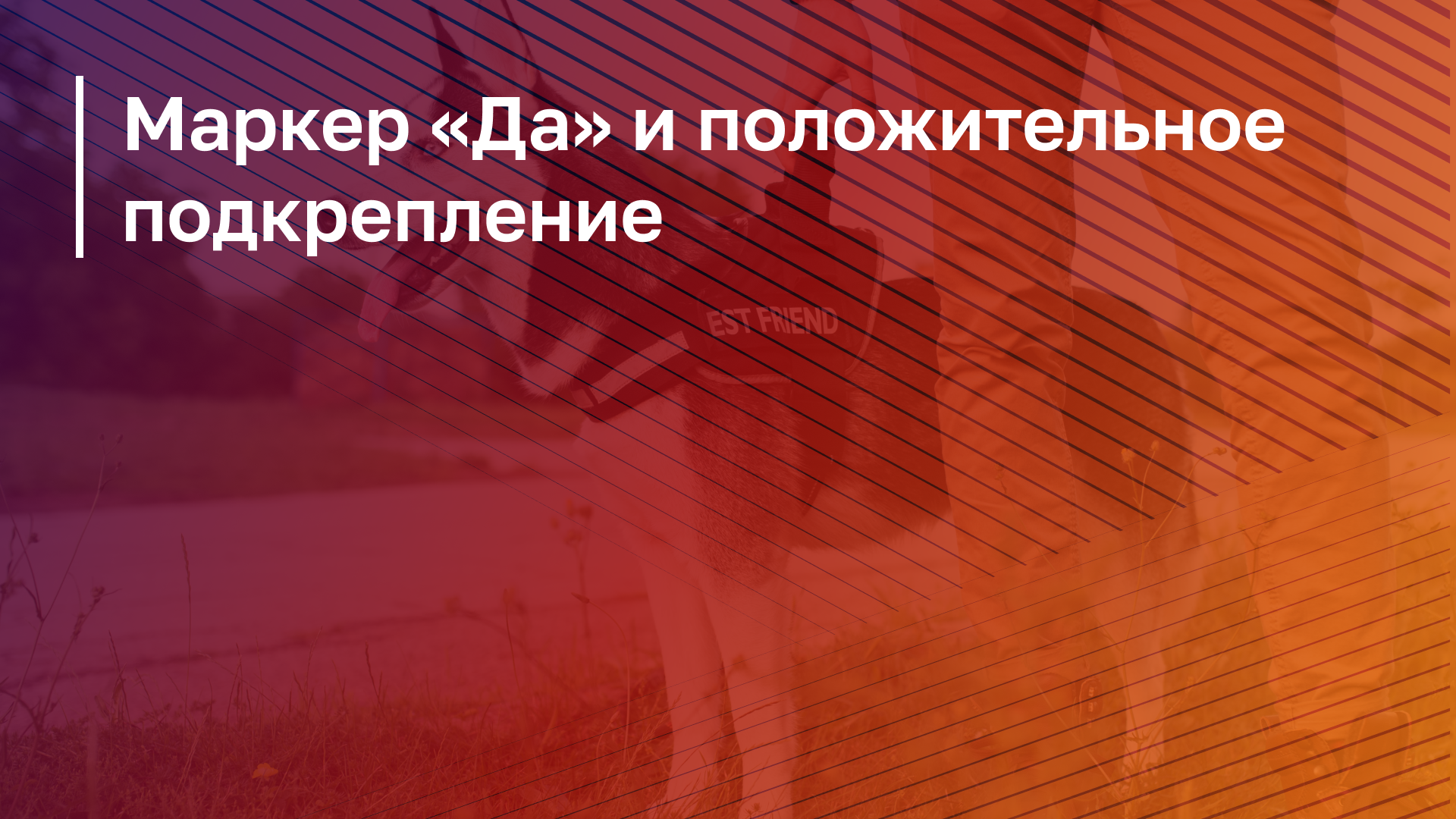 Обложка курса