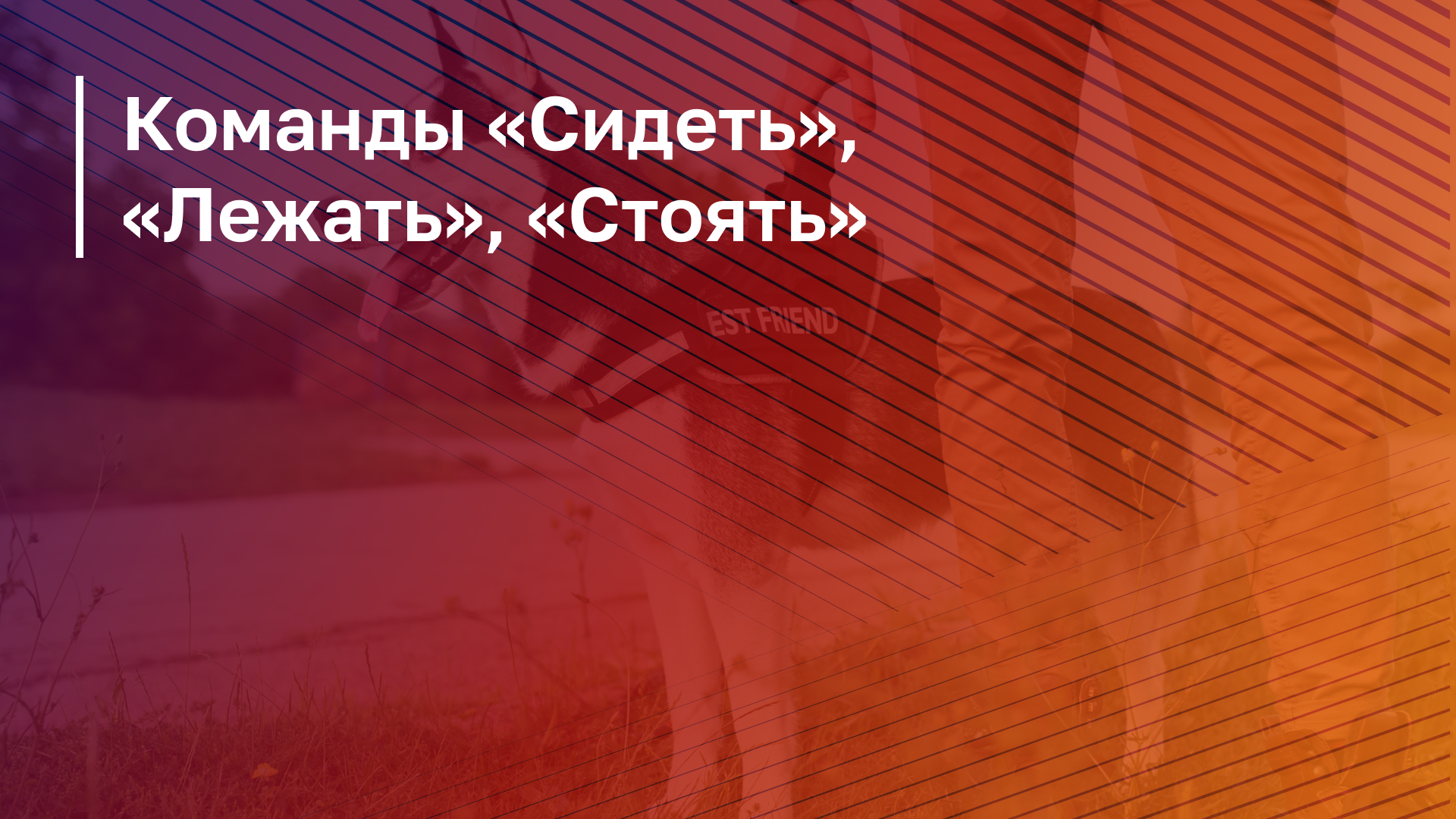 Обложка курса