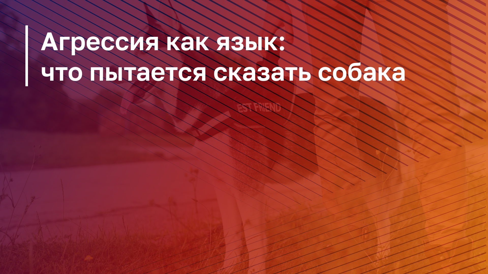 Обложка курса