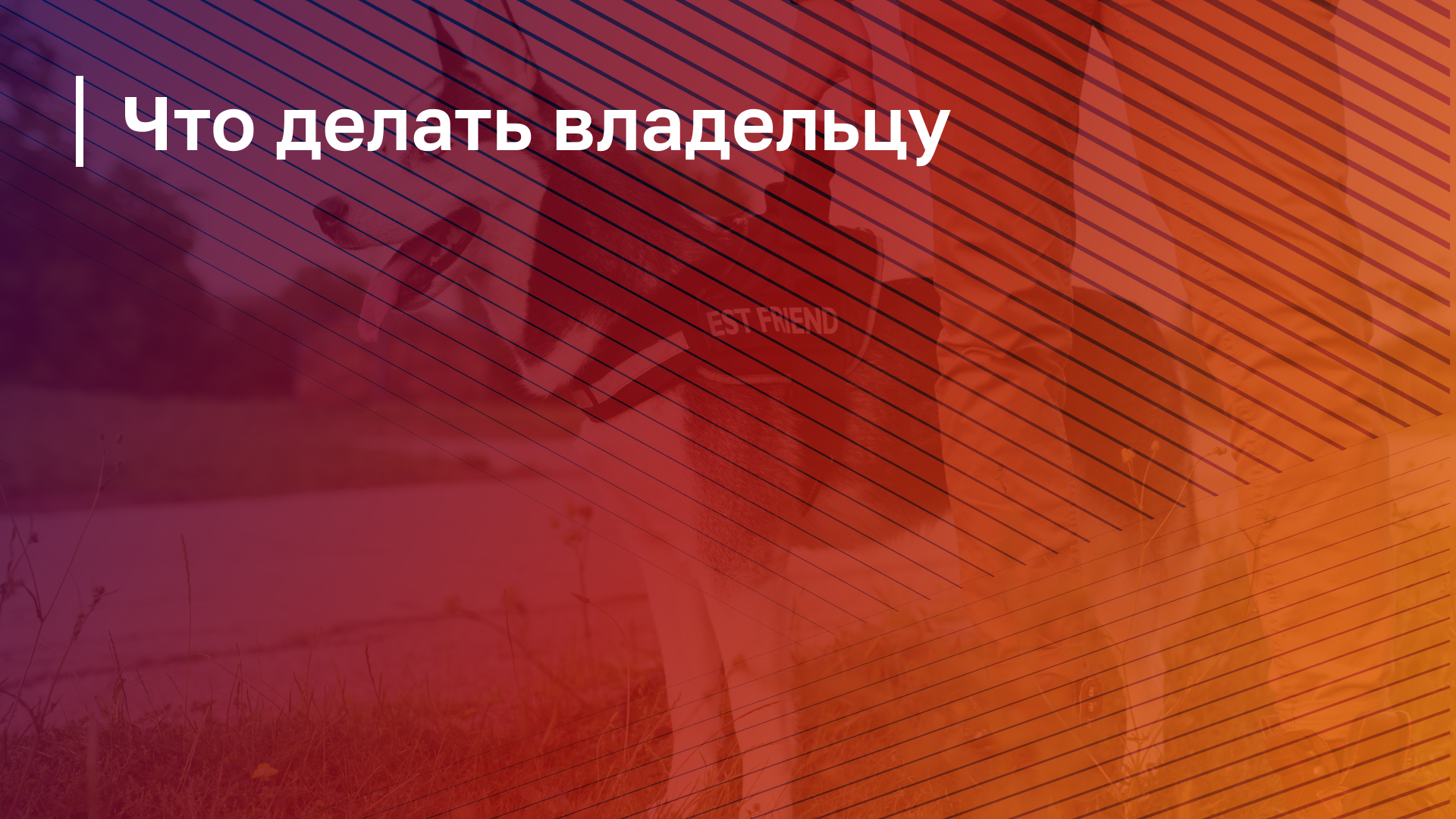 Обложка курса