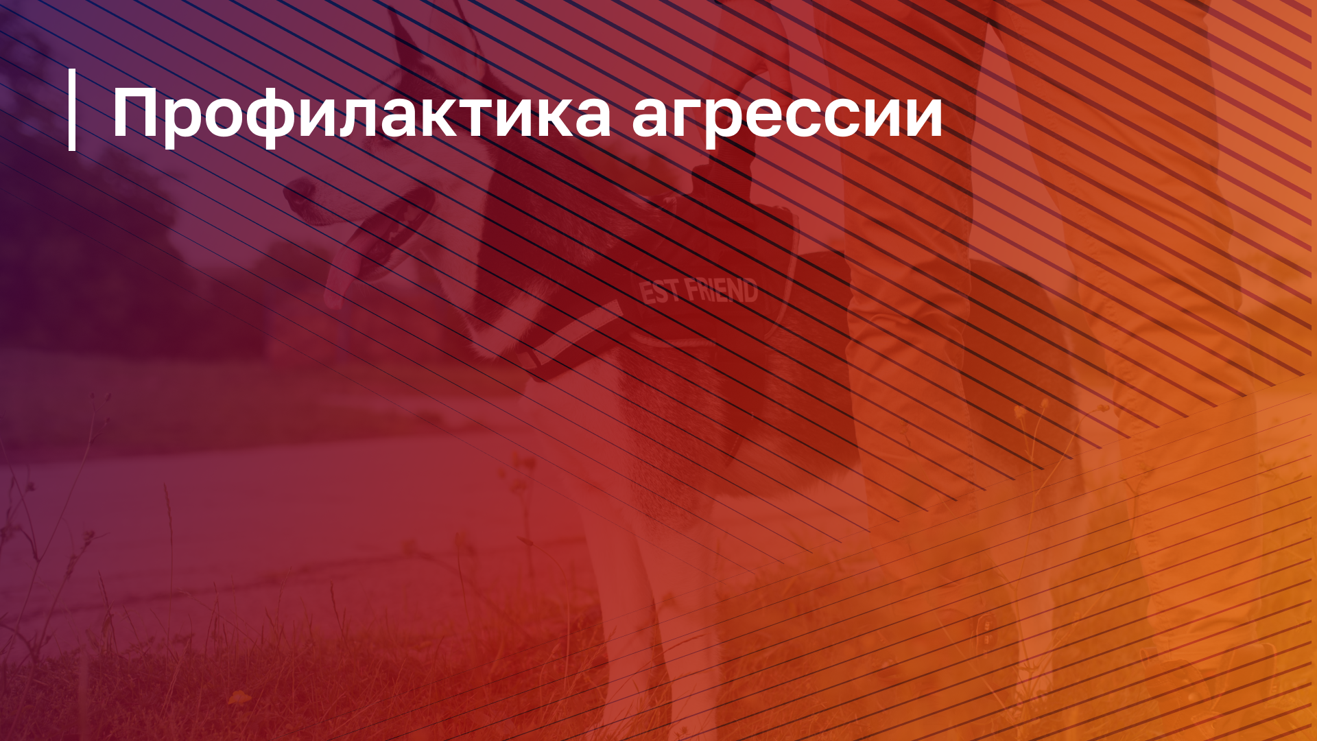 Обложка курса