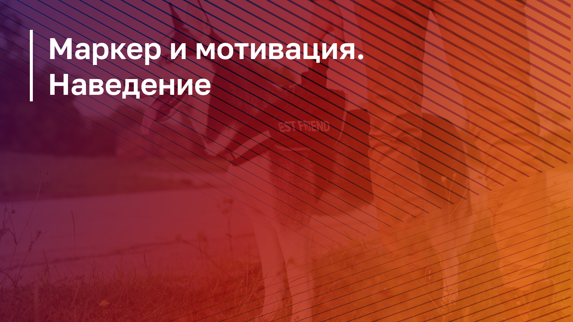 Обложка курса