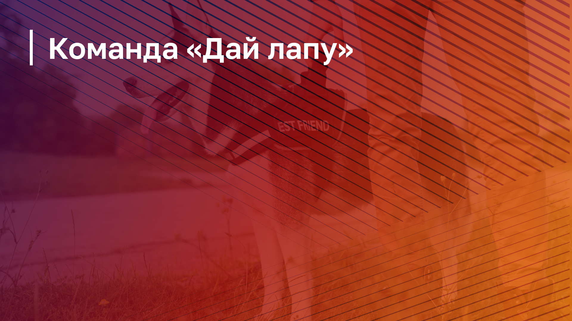 Обложка курса