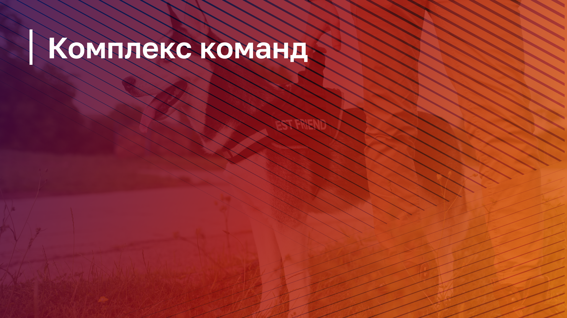 Обложка курса