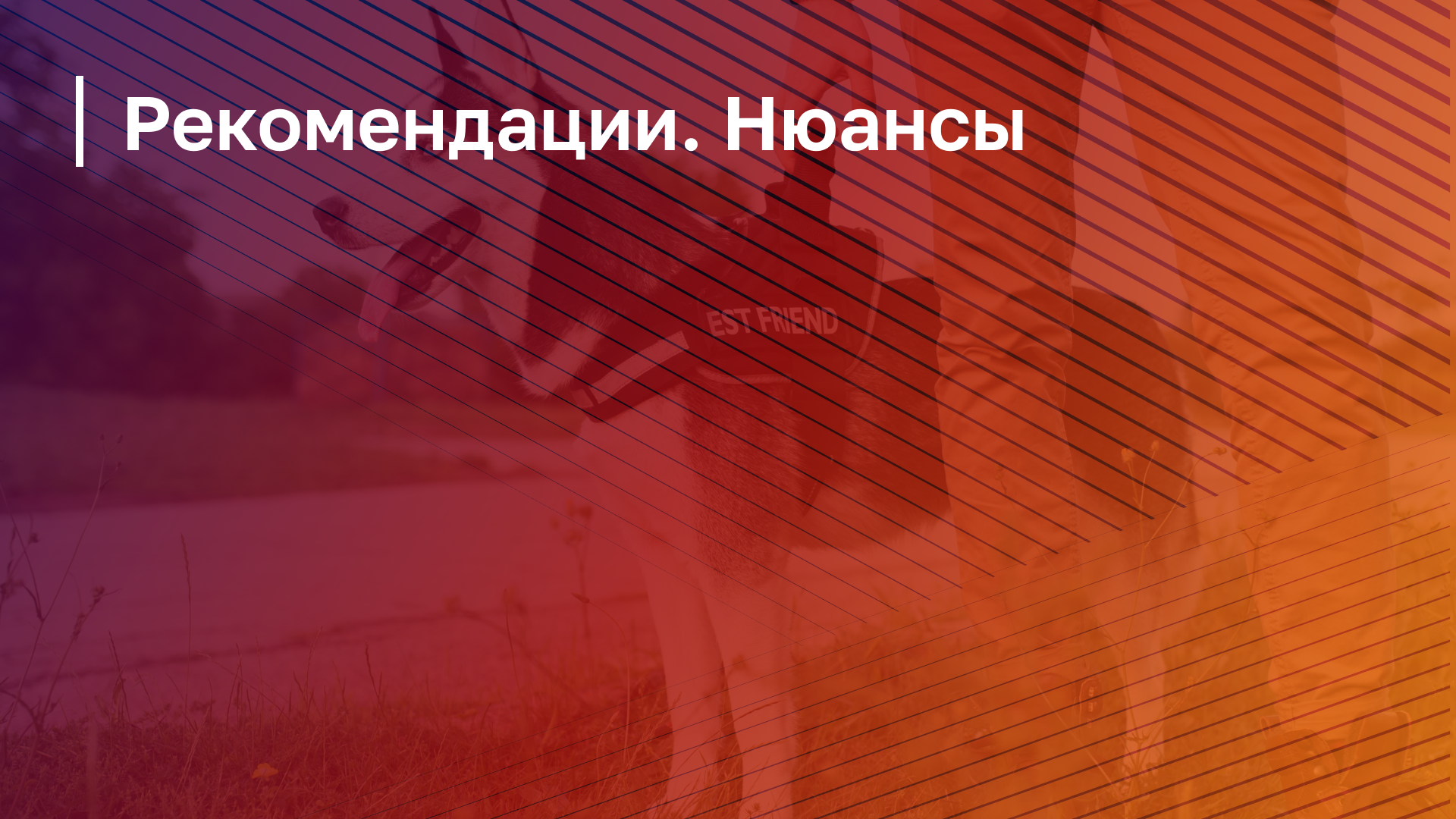 Обложка курса