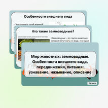 Презентация «Мир животных: земноводные. Особенности внешнего вида, передвижения, питания: узнавание, называние, описание»