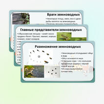 Презентация «Мир животных: земноводные. Особенности внешнего вида, передвижения, питания: узнавание, называние, описание»