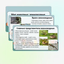 Презентация «Мир животных: земноводные. Особенности внешнего вида, передвижения, питания: узнавание, называние, описание»