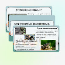 Презентация «Мир животных: земноводные. Особенности внешнего вида, передвижения, питания: узнавание, называние, описание»