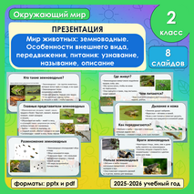 Презентация «Мир животных: земноводные. Особенности внешнего вида, передвижения, питания: узнавание, называние, описание»