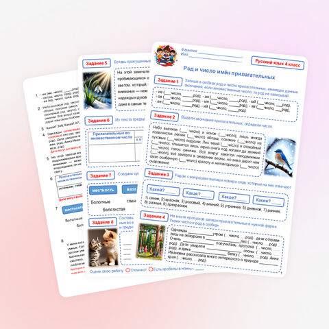 Род и число имён прилагательных