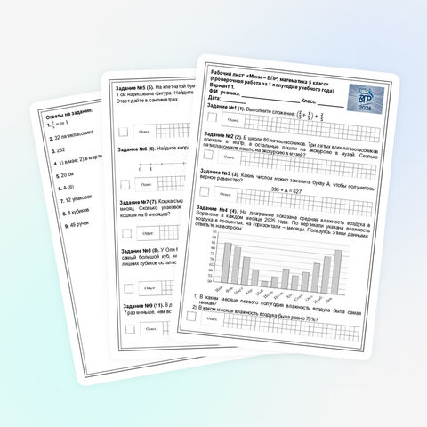 «Мини – ВПР, математика 5 класс»