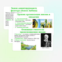 Презентация 
