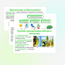 Презентация 