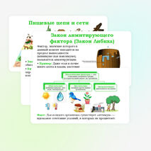Презентация 