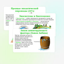 Презентация 
