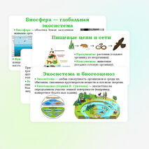 Презентация 