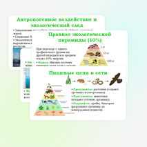 Презентация 