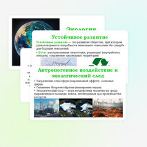 Презентация 