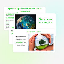 Презентация 