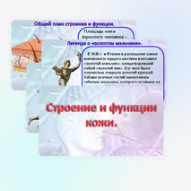 Презентация «Строение и функции кожи». Биология 9 класс (углубленный уровень).
