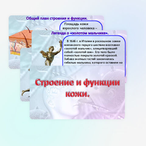 Презентация «Строение и функции кожи». Биология 9 класс (углубленный уровень).