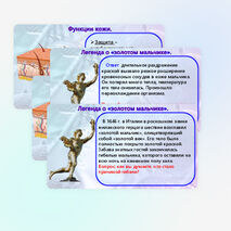 Презентация «Строение и функции кожи». Биология 9 класс (углубленный уровень).