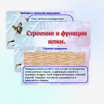 Презентация «Строение и функции кожи». Биология 9 класс (углубленный уровень).