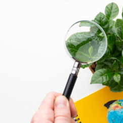 Обложка курса 'Основы эволюционной теории и генетики популяций'