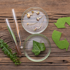 Обложка курса 'Экосистемы и биосфера: структура, процессы и глобальные проблемы'