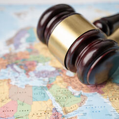 Обложка курса 'Правовые и территориальные основы местного самоуправления'