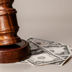 Обложка курса 'Организационные и финансово-экономические основы местного самоуправления'