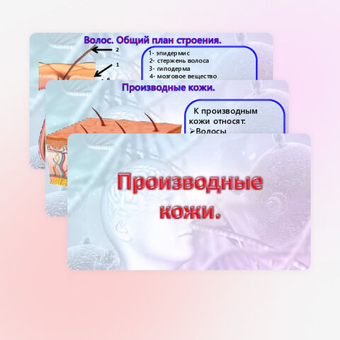 Презентация «Производные кожи», «Кожа и ее производные». Биология 9 класс. (углубленный уровень).