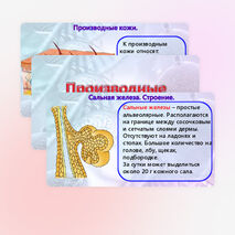 Презентация «Производные кожи», «Кожа и ее производные». Биология 9 класс. (углубленный уровень).
