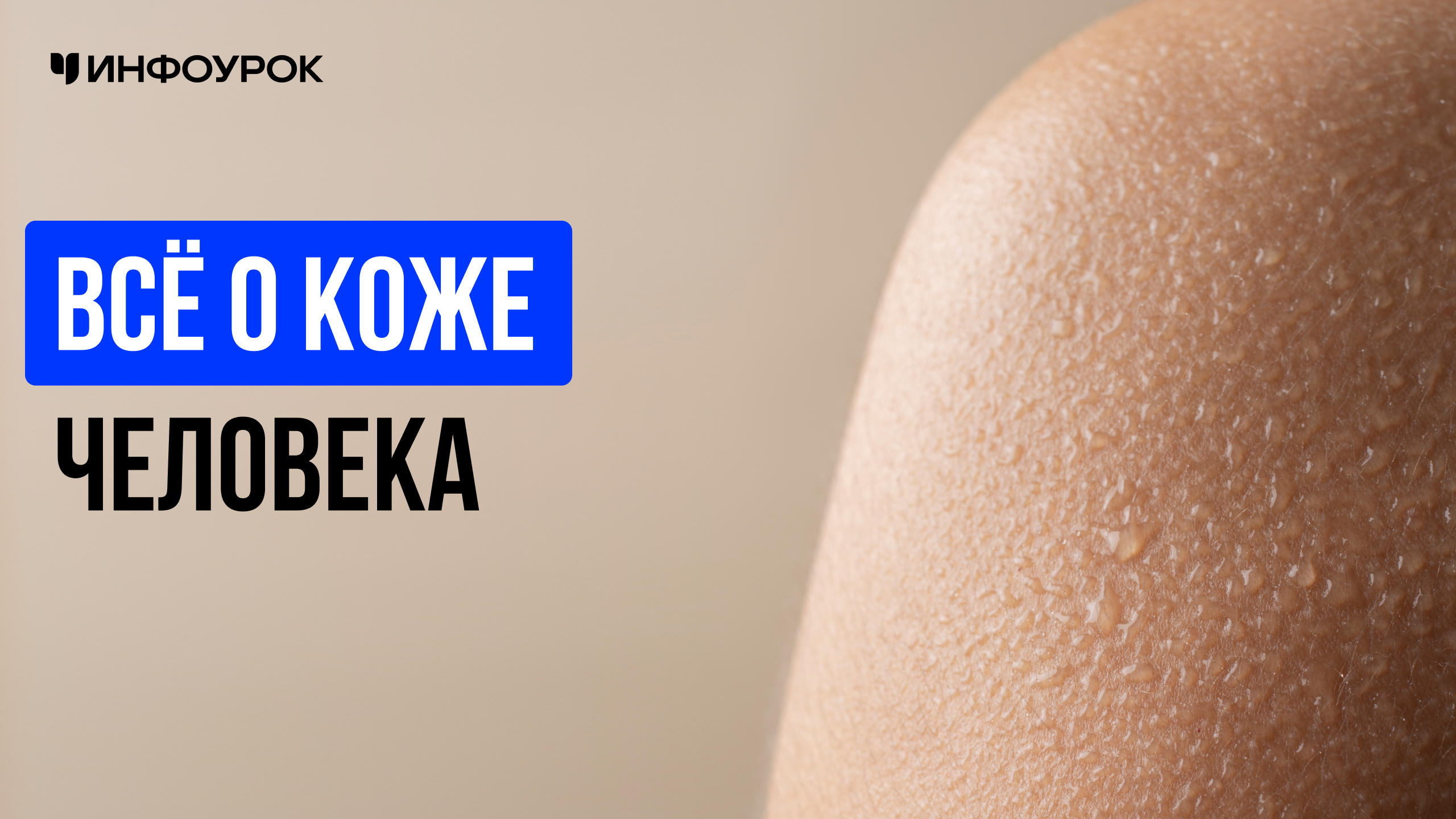 Обложка курса