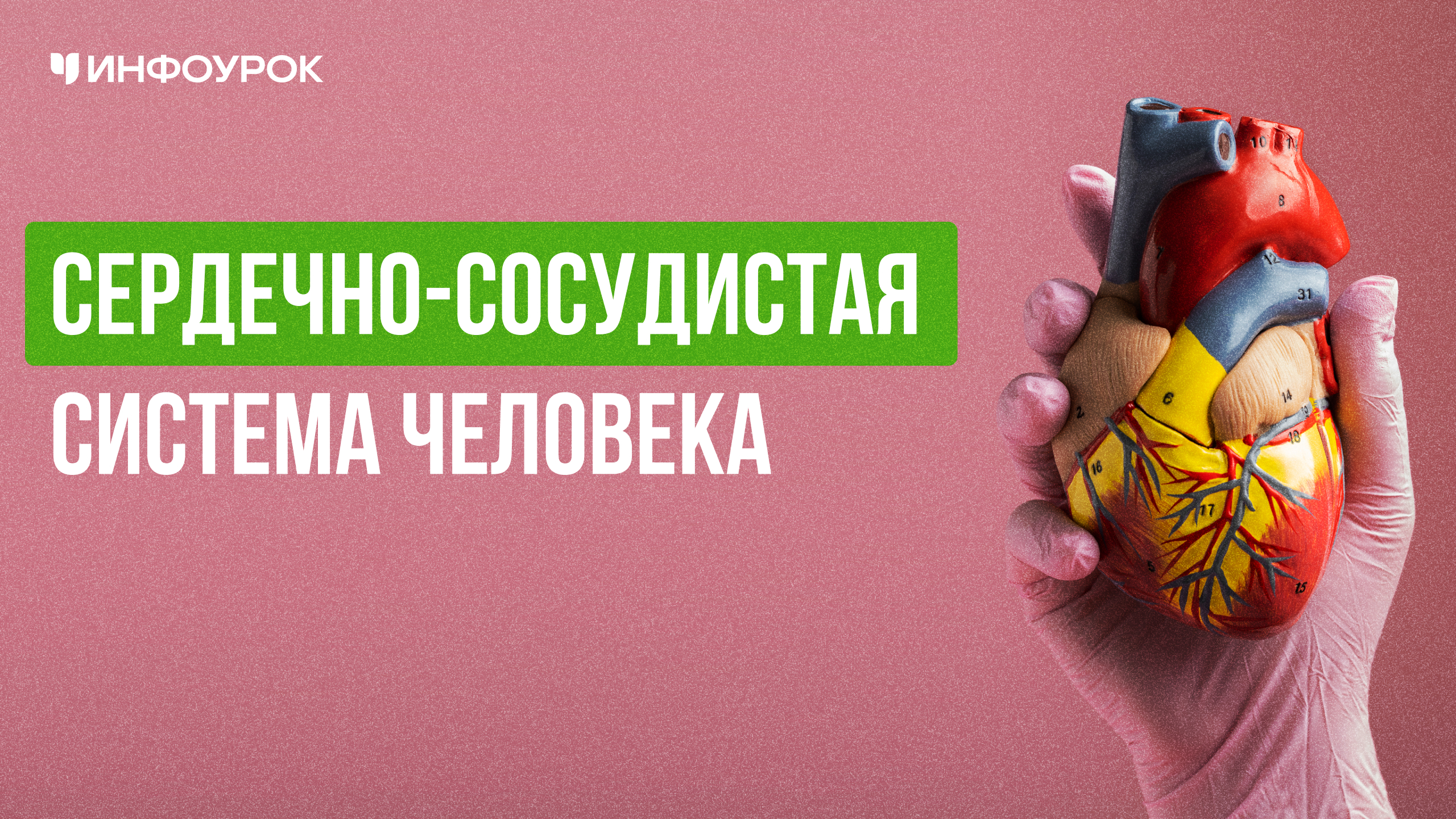 Обложка курса