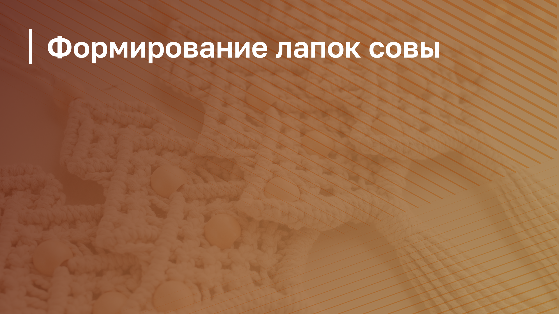 Обложка курса