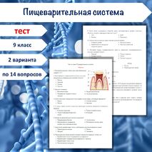 Тест по теме «Пищеварительная система», 9 класс