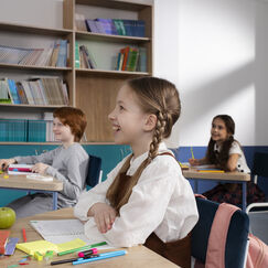 Обложка курса 'Методика изучения местоимений и вводных конструкций в начальной школе'