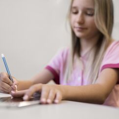 Обложка курса 'Сочинение-описание по картинам З.Е. Серебряковой «За обедом» и А.К. Саврасова «Грачи прилетели»'