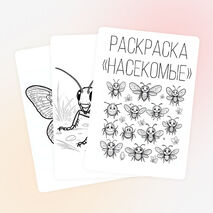 Раскраска «Насекомые»