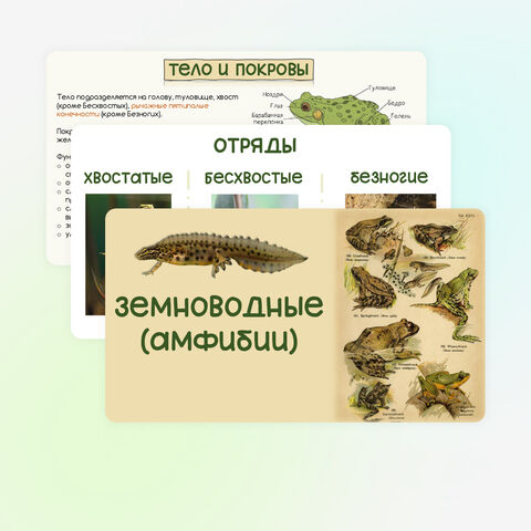 Презентация 