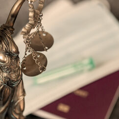 Обложка курса 'Правосубъектность и дееспособность в гражданском праве'