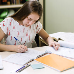 Обложка курса 'Итоговое сочинение: методические и психологические основы подготовки'