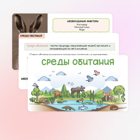 Презентация 