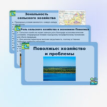 Презентация «Поволжье: хозяйство и проблемы» (география, 9 класс)
