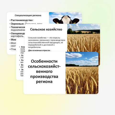 Презентации 