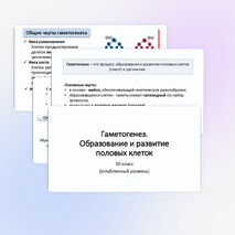 Презентация «Гаметогенез. Образование и развитие половых клеток» 10 класс (углубленный уровень)