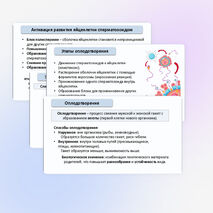 Презентация «Гаметогенез. Образование и развитие половых клеток» 10 класс (углубленный уровень)