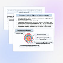 Презентация «Гаметогенез. Образование и развитие половых клеток» 10 класс (углубленный уровень)